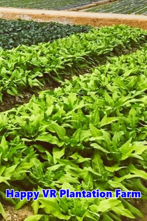 Happy VR Plantation Farm