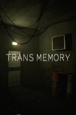 TransMemory