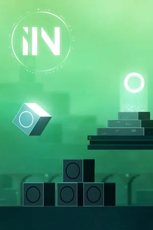 IIN