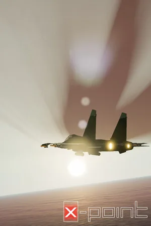 X-POINT