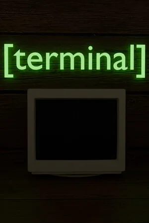 Terminal