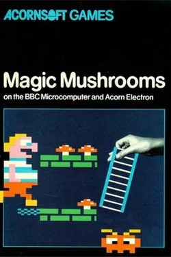 Magic Mushrooms