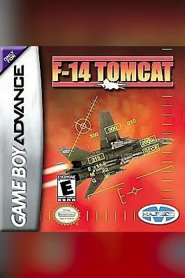 F-14 Tomcat