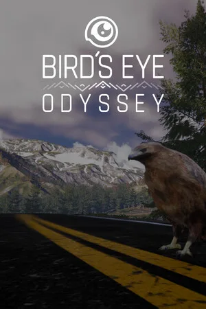 Bird's Eye Odyssey