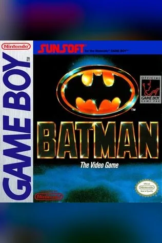 Batman: The Video Game