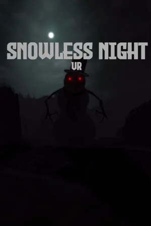 Snowless Night