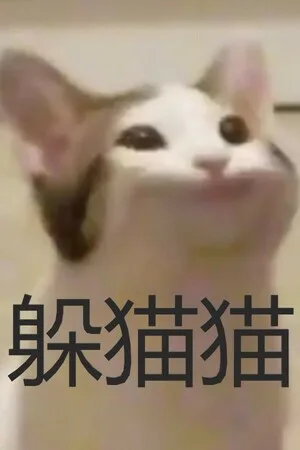 cat and rat