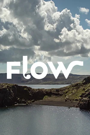 Flow