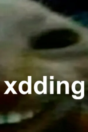 xdding
