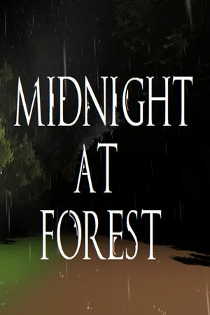 Midnight at Forest