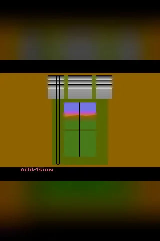 Venetian Blinds