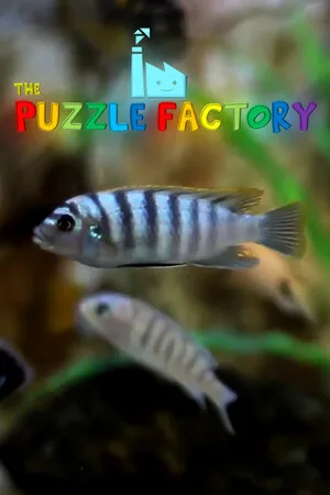 The Puzzle Factory