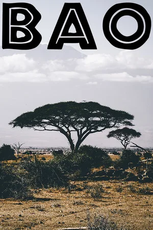BAO