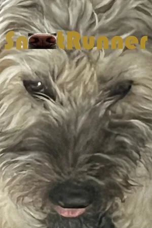 Snoot Runner