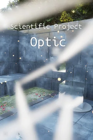 Scientific project: Optic