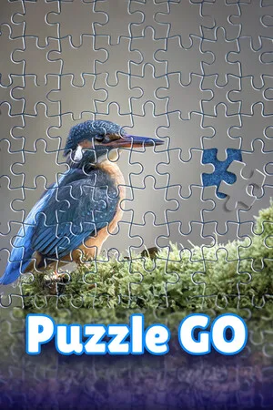 Puzzle Go