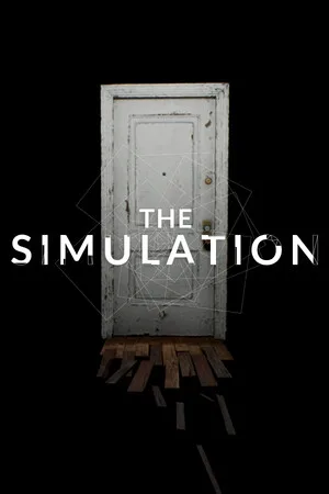 The Simulation