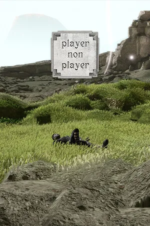 Player Non Player