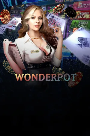 WONDER POT