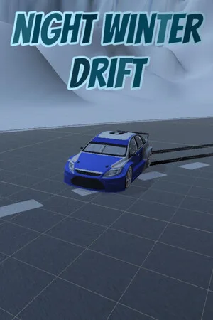 Night Winter Drift