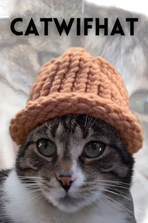 Catwifhat