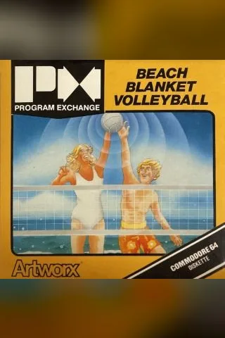 Beach Blanket Volleyball