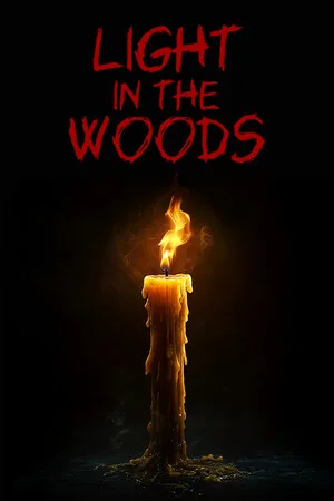 Light in the woods